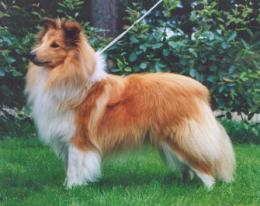 Bild laden 1004_ConspirolSpaceFlower.jpg