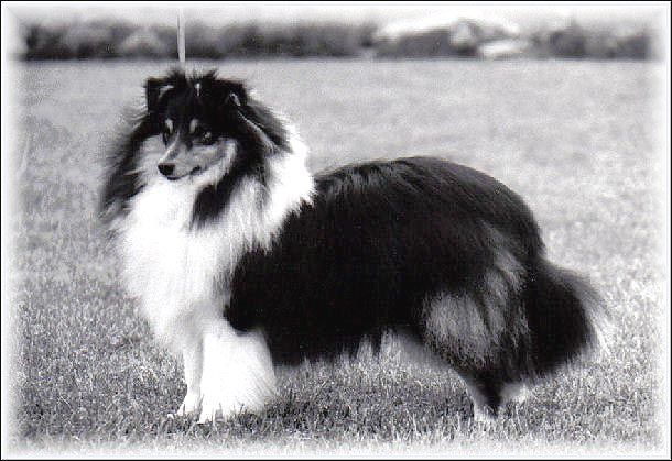 Bild laden 1063_TheMeadsmanAtMyriehewe.jpg