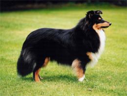 Bild laden 1337_OrissaOtheHighlands.jpg