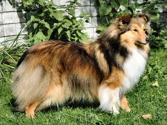 Bild laden 1353_XanadouXenavSGWaldDSC_0334Rkl.JPG