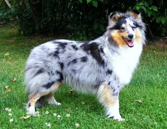 Bild laden 1383_TrustinmeIndianSilverSpirit.JPG