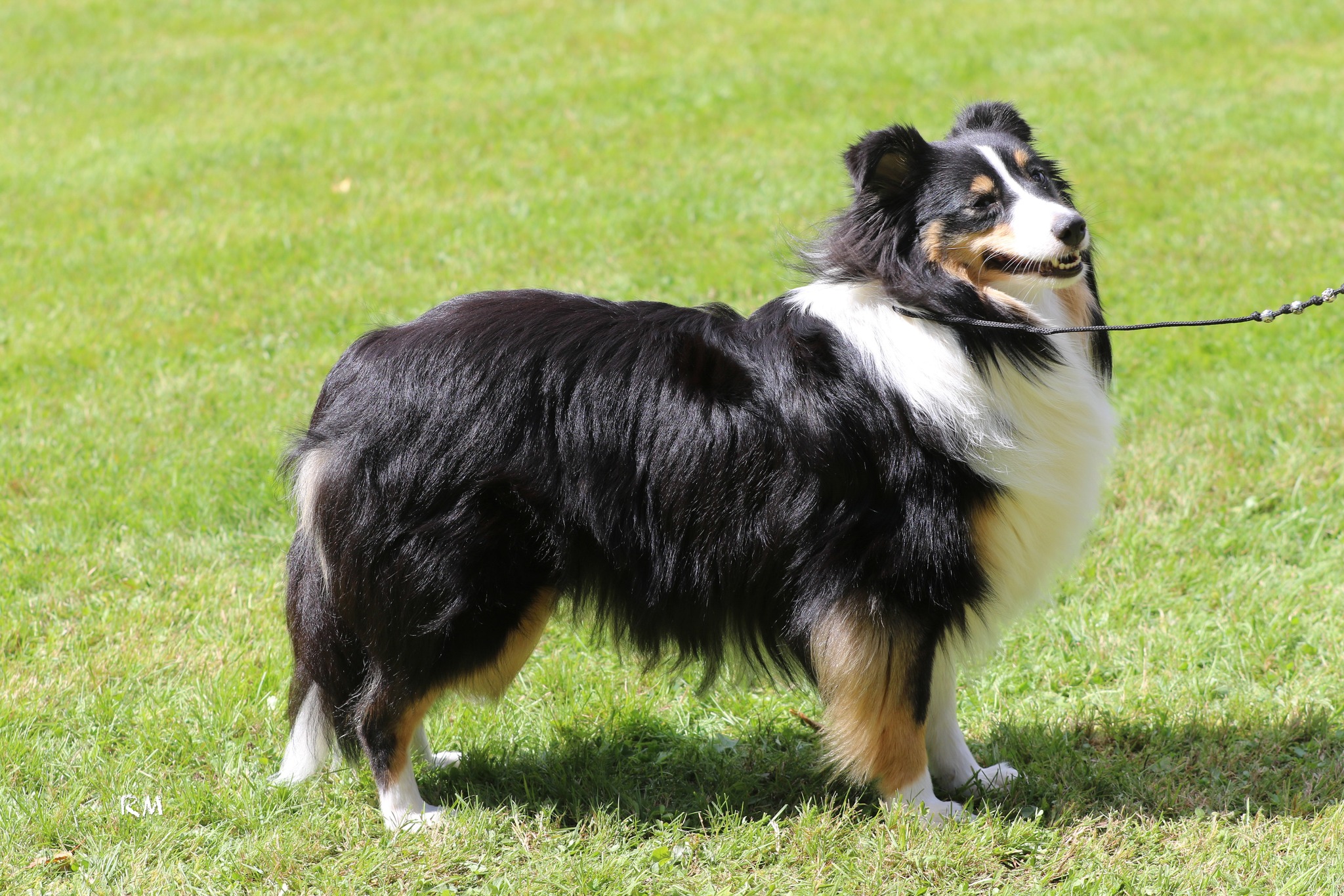 Bild laden 14141_516772443_10160981551346296_5526138920253850162_n.jpg