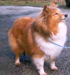 Bild laden 1567_TiakinaThenHeKissedMe.jpg