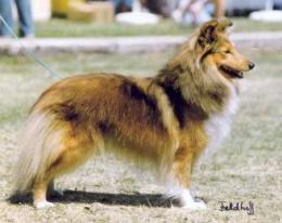 Bild laden 1568_ClaudettetWijnmeer.jpg