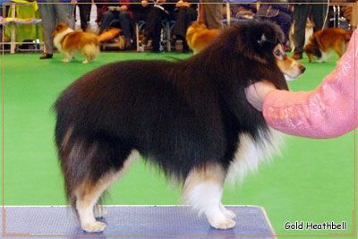 Bild laden 1570_FoubeckFuntastic.jpg