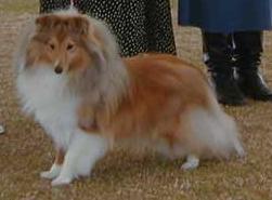 Bild laden 1625_MistmereWindStorm.jpg