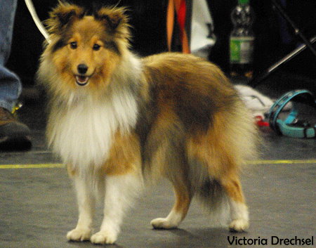 Bild laden 2411_14.01.1228.jpg