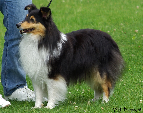 Bild laden 2412_EnyaBOB.jpg