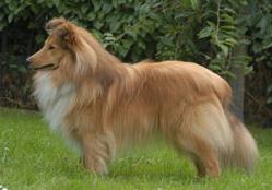 Bild laden 26_MisterMacTobyvantMaartenshuis.jpg