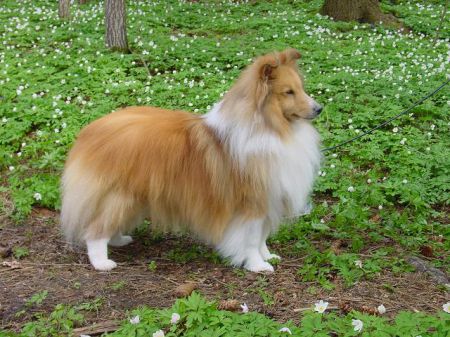 Bild laden 364_JAPAROBYDESIGN.jpg