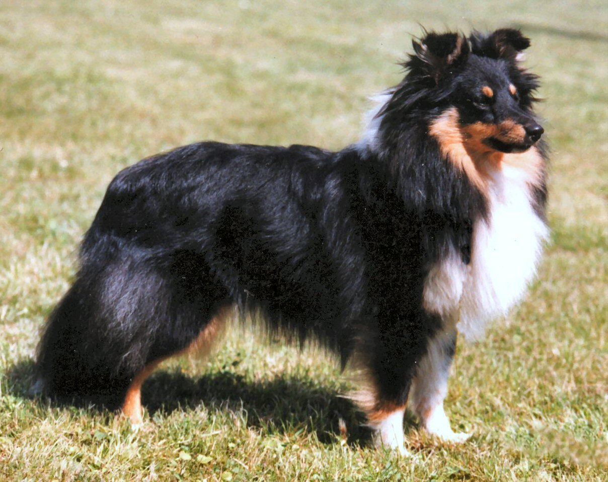 Bild laden 551_SissyStand.JPG