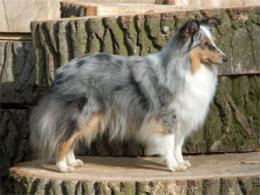 Bild laden 58_WhiggleyWynonahvantMaartenshuis.jpg