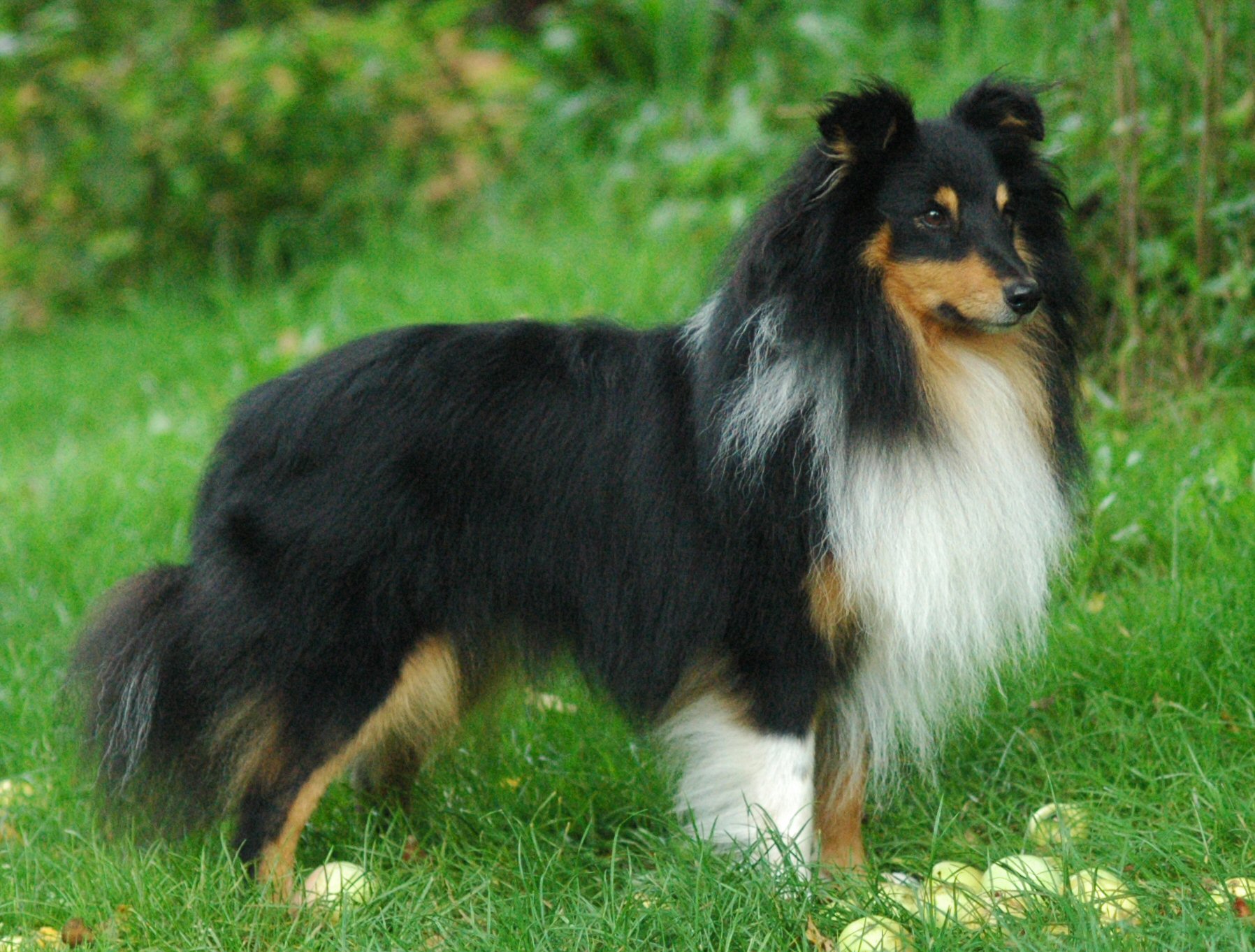 Bild laden 594_DJ9907DSC_0890.JPG