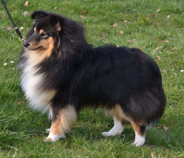 Bild laden 6775_XeroBlackfromMarmoreasShelter1.jpg