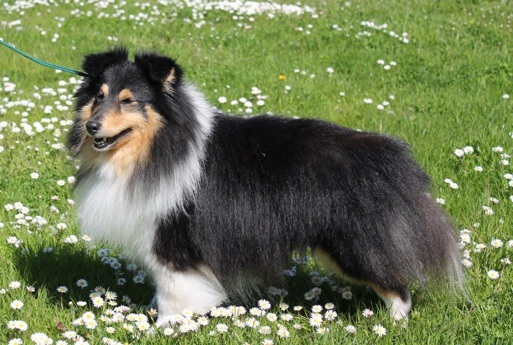 Bild laden 7731_BlueWitchLikeAPrayer.jpg