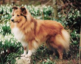 Bild laden 9790_MonaMelissavantMaartenshuis.jpg